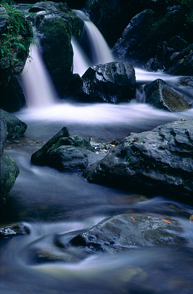 Detail des Torc-Wasserfalls, Killarney, Ireland