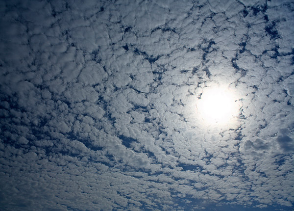 Wolkenstruktur - Altocumulus stratiformis perlucidus