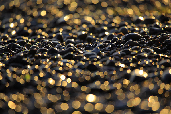 Steine am Strand - Nienhagen, Mecklenburg-Vorpommern, Deutschland, Europa
