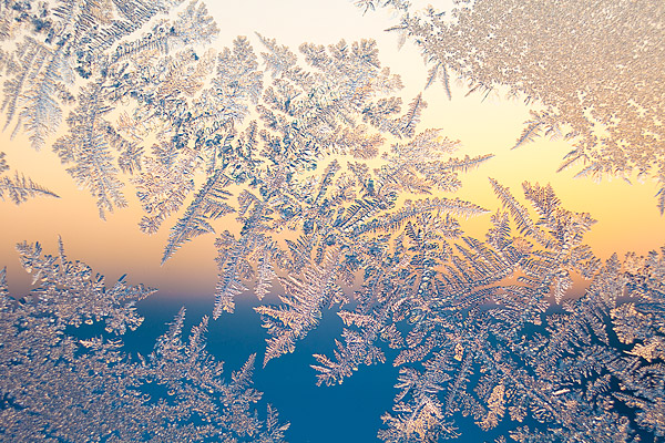 Eisblumen am Fenster