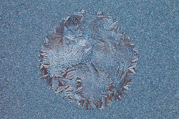 Eisblumen am Fenster