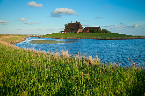 Blick auf die Kirchwarft, Hallig Hooge, Nordsee, Schleswig-Holstein, Deutschland