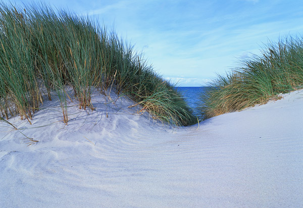 Mit Strandhafer bewachsene Stranddne und Blick aufs Meer, Weststrand, Halbinsel Darss, Mecklenburg-Vorpommern, Deutschland