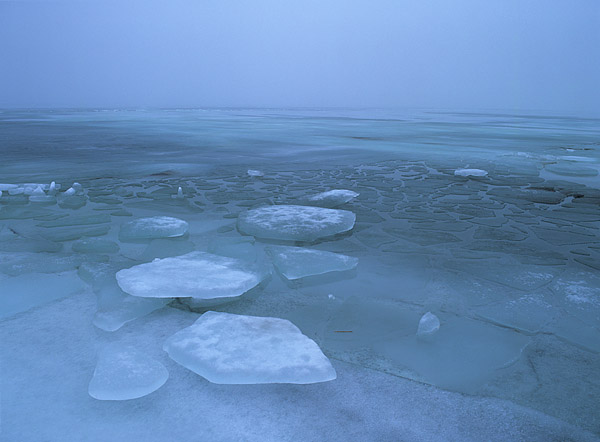 Brucheis, K�ste Greifswalder Bodden, R�gen, M�rz 2003